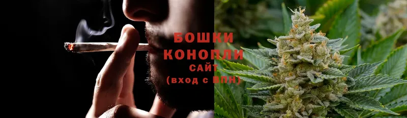 Бошки Шишки THC 21%  Вязьма 